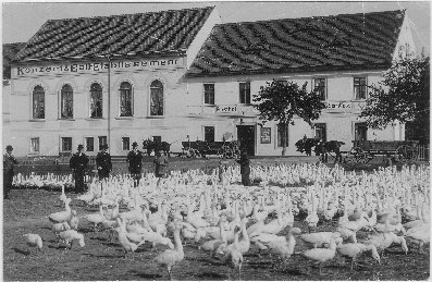Gänsehandel in Coswig, Dresdner Str. vor dem heutigen "Daniels"