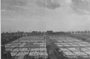 Gänsemastanlage im Oderbruch um ca. 1900